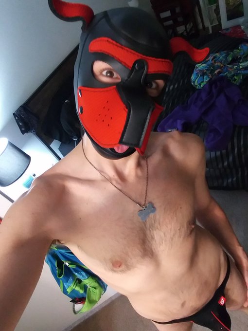 Goooooood morning twitter pups and peoples!   #puppyplay #humanpup #gaypup #gaypuppyplay #puppyplaycommunity<a href="/tag/puppyplay"class="tags">#puppyplay</a><a href="/tag/gay"class="tags"><span>#gay</span></a><a href="/tag/humanpup"class="tags"><span>#humanpup</span></a><a href="/tag/gaypup"class="tags"><span>#gaypup</span></a><a href="/tag/puppyplaycommunity"class="tags"><span>#puppyplaycommunity</span></a><a href="/tag/gaypuppyplay"class="tags"><span>#gaypuppyplay</span></a>