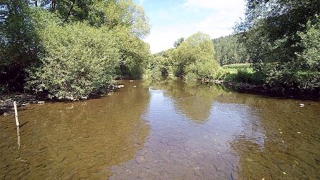 The bridges & crossings were varied (see map), with Ammeldingen crossed by 916VGR after Div/Korps Pioniere stripped the village of doors/material to fix to carts wheeled into the swollen Our**An increase of <1m to 2.5m in depth.Pic 4 Hoesdorf plateau on the right. 6)