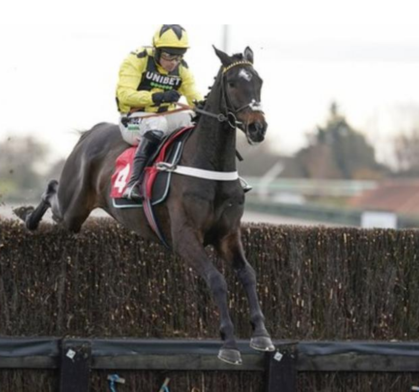 ApexAlgorithms's tweet image. Shishkin earned top marks from trainer Nicky Henderson after a sparkling win on his chasing debut at Kempton.