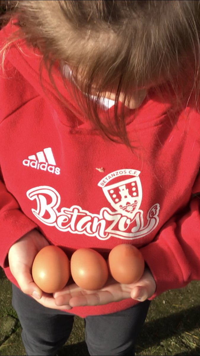 comodequince's tweet photo. Uno, dos y tres ...🥚🥚🥚
Esto marcha 
Gracias gallinitas ❤️❤️❤️
#gracias #gallinitas #tortilladebetanzos https://t.co/xVFV3FqHKU