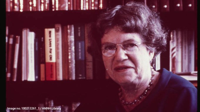 Close up portrait of Margaret Mead slightly facing the left of the frame. She has short hair, is wearing glasses, and has a dark blazer on. A full bookshelf is in the background behind her.