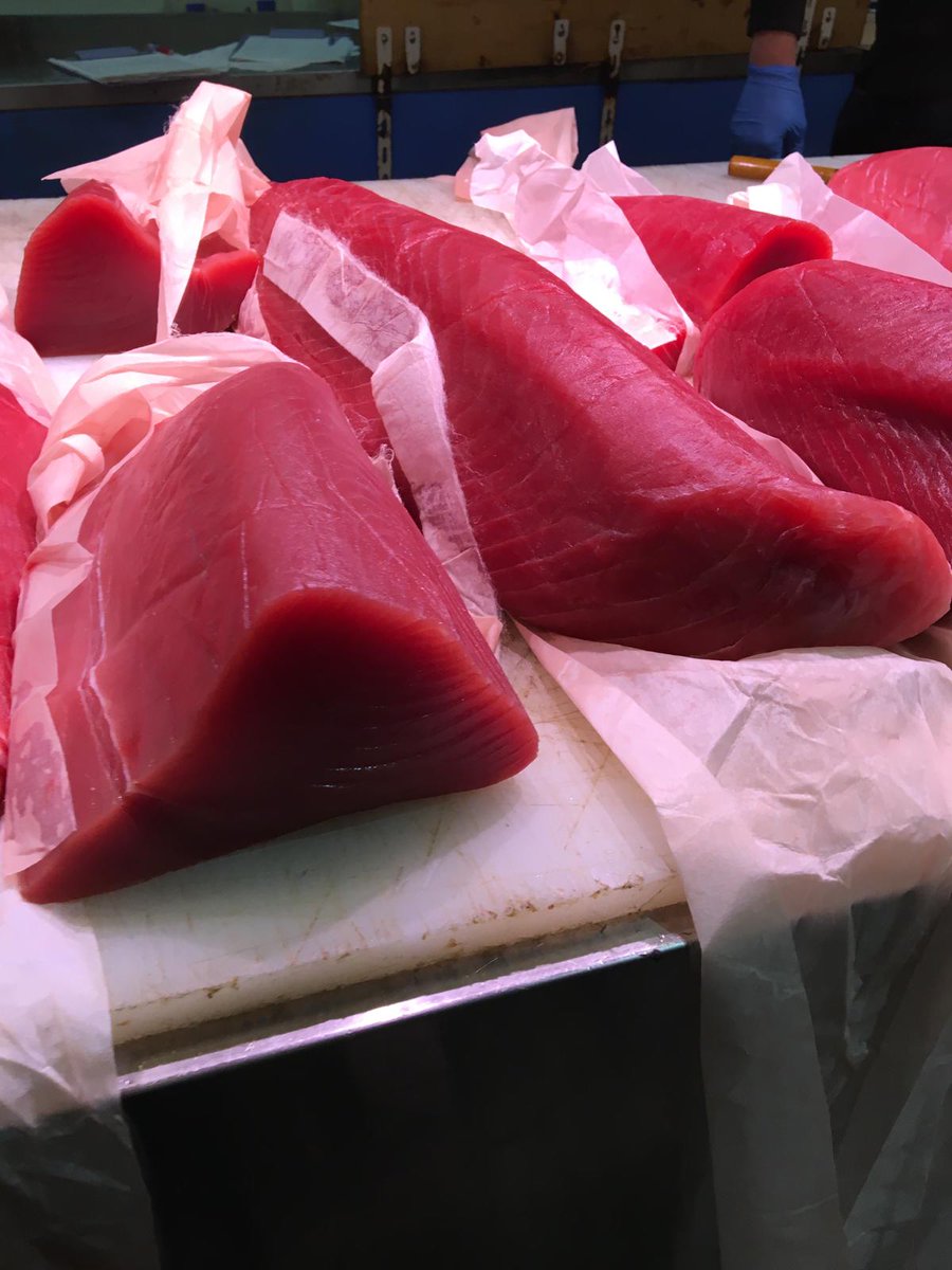 Chefstradingdc's tweet photo. #Traceable #Fresh #Tuna, Yellowfin, Bigeye, H/G, Loins, Direct shipped from the boats direct to our distributors and restaurant groups in the USA and Caribbean. #Support #Traceability &amp; #Sustainability &amp; a #SlaveFree #International #Seafood #SupplyChain https://t.co/Ua7BzWjsiP