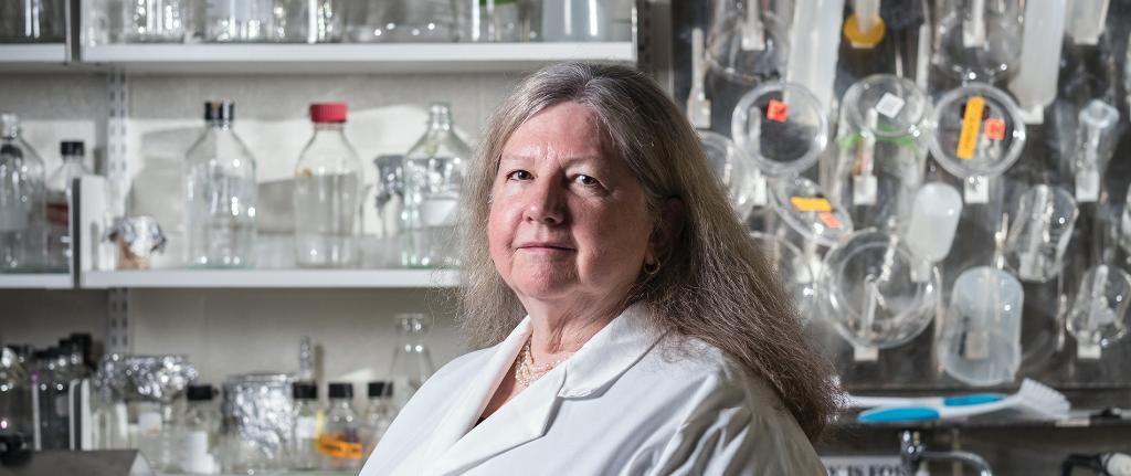 msuvets's tweet image. A @michiganstateu veterinarian-scientist and @universityofga microbiologist have been awarded $2.2 million to continue their study of a rare neurological disorder called Guillain-Barré Syndrome. #SpartansWill  spr.ly/6017HP22B