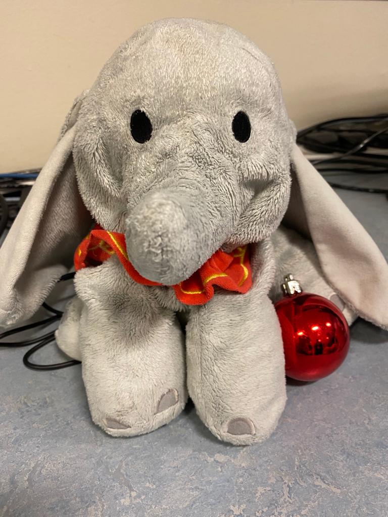 URGENT!! We have two lost toys looking for their owners before Christmas. Monkey was found on the 9th and Elephant on the 16th. Please get in touch if you know who they belong to as they are missing their owners. Please RT and help! @UHDBTrust @derbyshire_live @BBCDerby