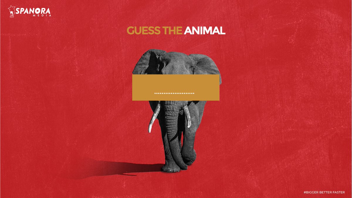 SpanoraMedia's tweet photo. Guess the Animal?

#SpanoraBack #TheSpanoraWay 

#Photography #Videography #Audio #CommunicationDesign #DigitalMarketing https://t.co/lfnBiEY2H5