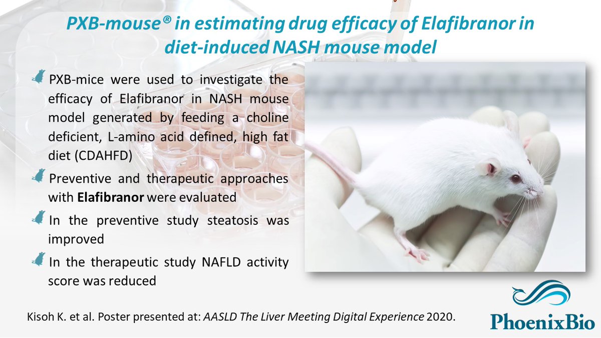 During NASH Summit dates, check out #NASH/ #NAFLD capabilities for in vivo and in vitro studies using our products: PXB-mouse® and PXB-cells®. #drugdiscovery #drugdevelopment