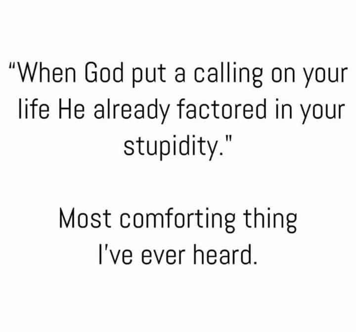 JimSichko's tweet photo. #comfortingforme https://t.co/BYSZtsGIM6