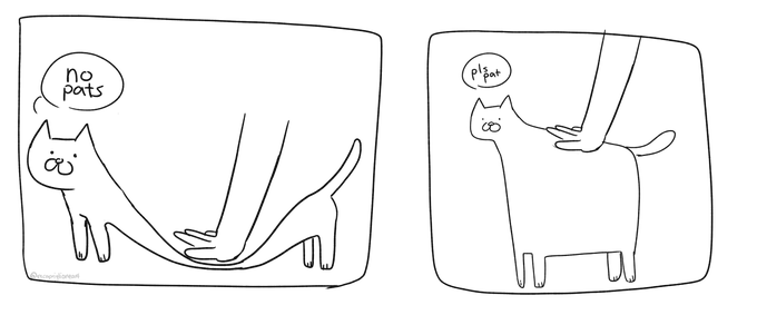 cat physics no. 01 