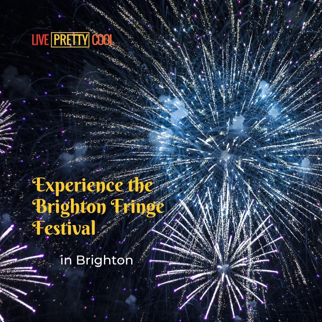 Pretty Cool Things to Do in Brighton tweet media