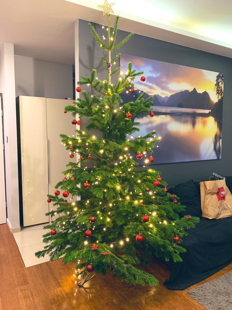 𝐊𝐨𝐭𝐚𝐫𝐨 𝐒𝐚𝐬𝐚𝐤𝐢 佐々木浩太郎 まさか一人暮らしでこんなでかいクリスマスツリー家に飾るとは思わなかった 笑 ちなみに こうやって売られてます 右写真 Choinka クリスマスツリー