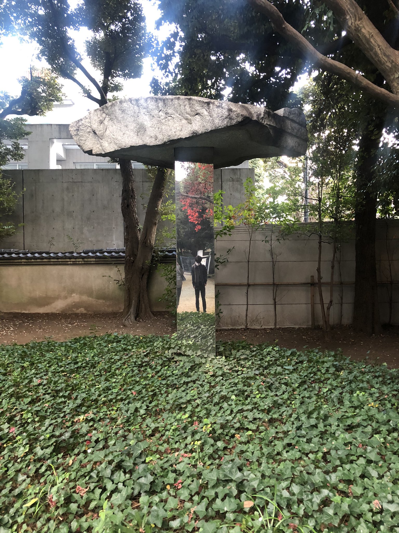 Ahmed Mannan A Twitter これは野生の関根伸夫 Ahmed Mannan A Twitter これは野生の関根伸夫