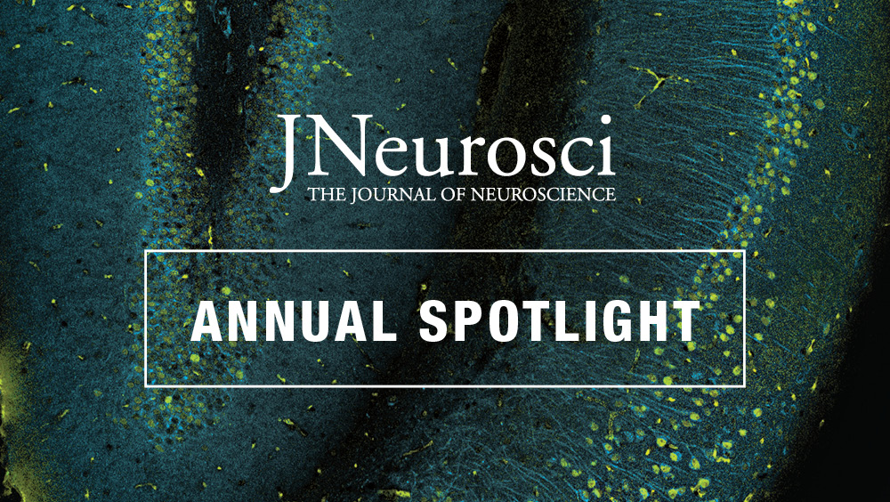 SfN Journals tweet media