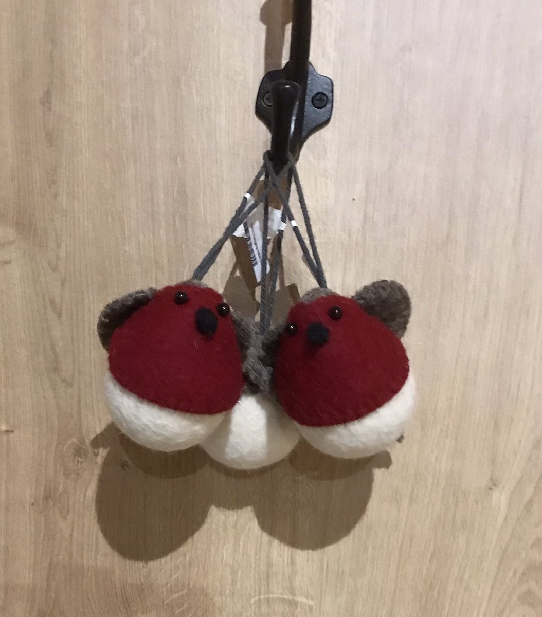 dewysue's tweet image. Back in my happy place #Cornwall. Picked up some #robins on the way to hang on our tree. #forMatthew