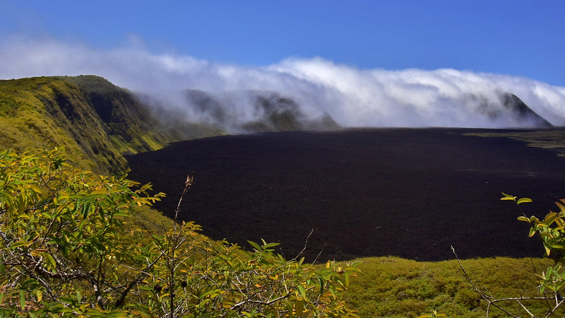 insiders_ec's tweet photo. The #SierraNegraVolcano in #Isabela is one of #Galapagos active volcanoes with the last eruption reported in 2018. From the trek to the caldera there is a fantastic view of the other volcanoes of the island, perfect to add to your #LandBasedTour.
#EcuadorandGalapagosInsiders https://t.co/ghjYhDKuBG