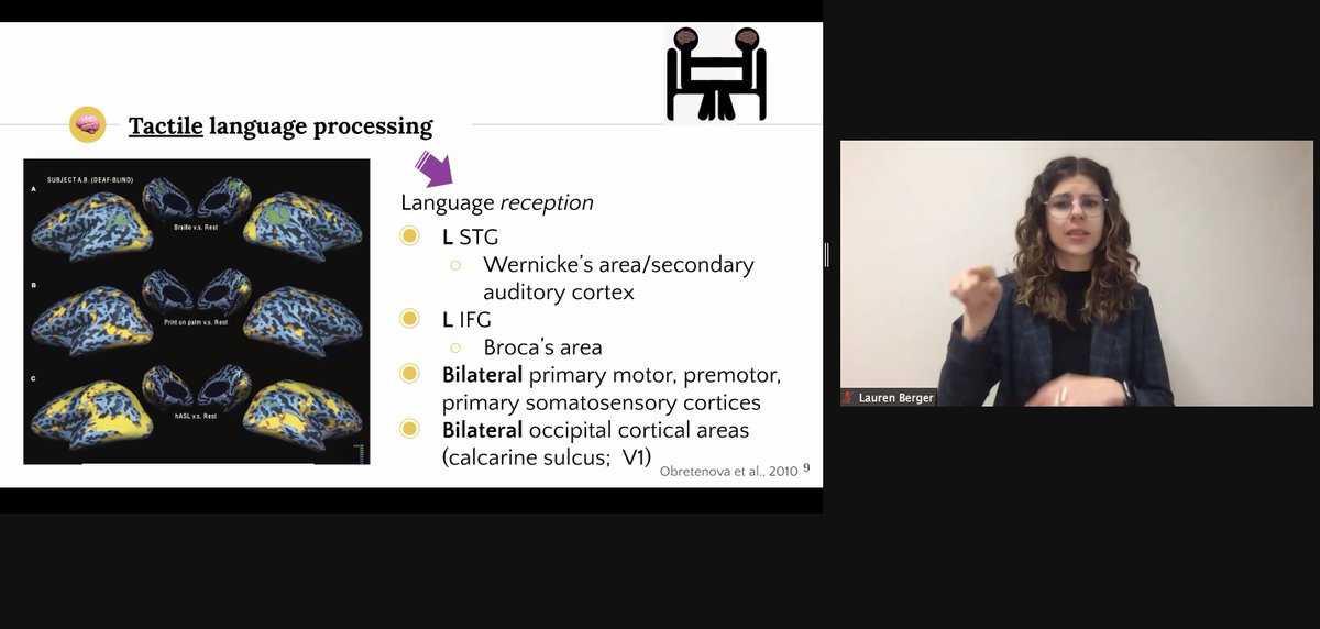 Numeracy and Educational Neuroscience Laboratory tweet media