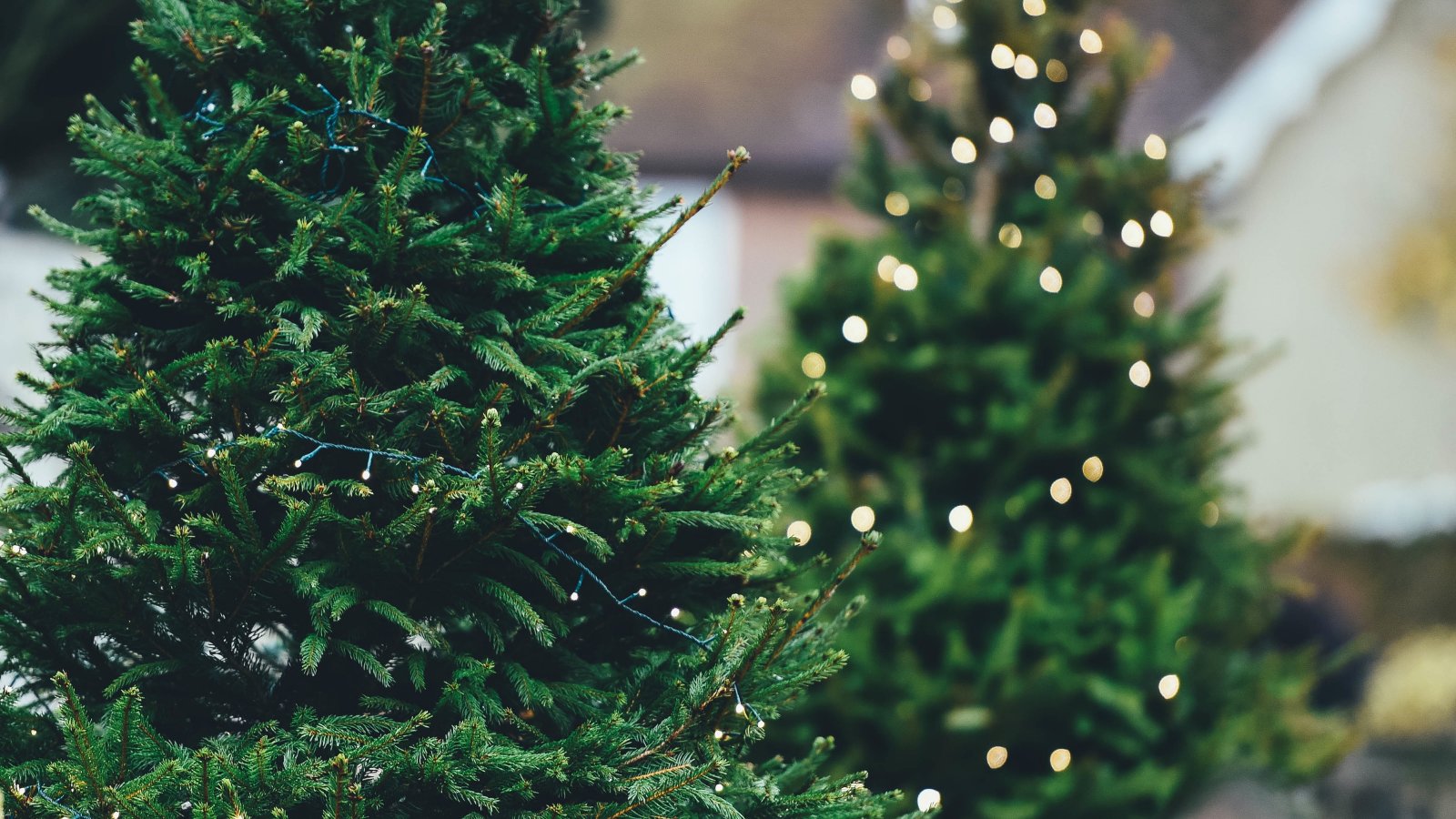 City Of West Palm Beach On Twitter West Palm Beach City Hall To Close In Observance Of Christmas On December 24 25 2020 And New Year S Day On Friday January 1 2021 Waste