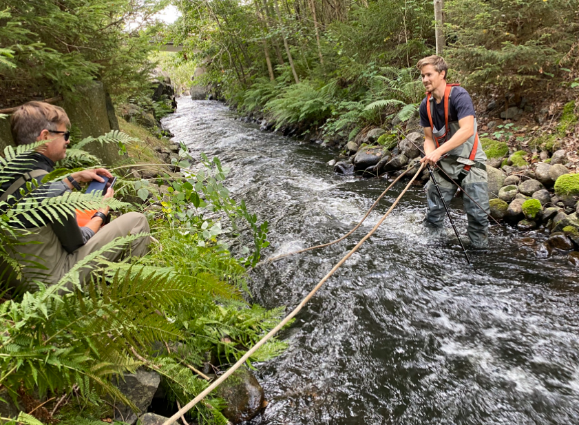 RivEM_Karlstad's tweet photo. Niclas Carlsson and @OlleCalles are looking into the efficiency of different types of #Restoration of #Hydropower impacted streams for #FishPassage. They wrote an update (in Swedish) on this
@energiforsk project: https://t.co/b42Uh4uE2z #AquaticEcology #Ecology #ScienceTweets https://t.co/E0S7fqo6A7