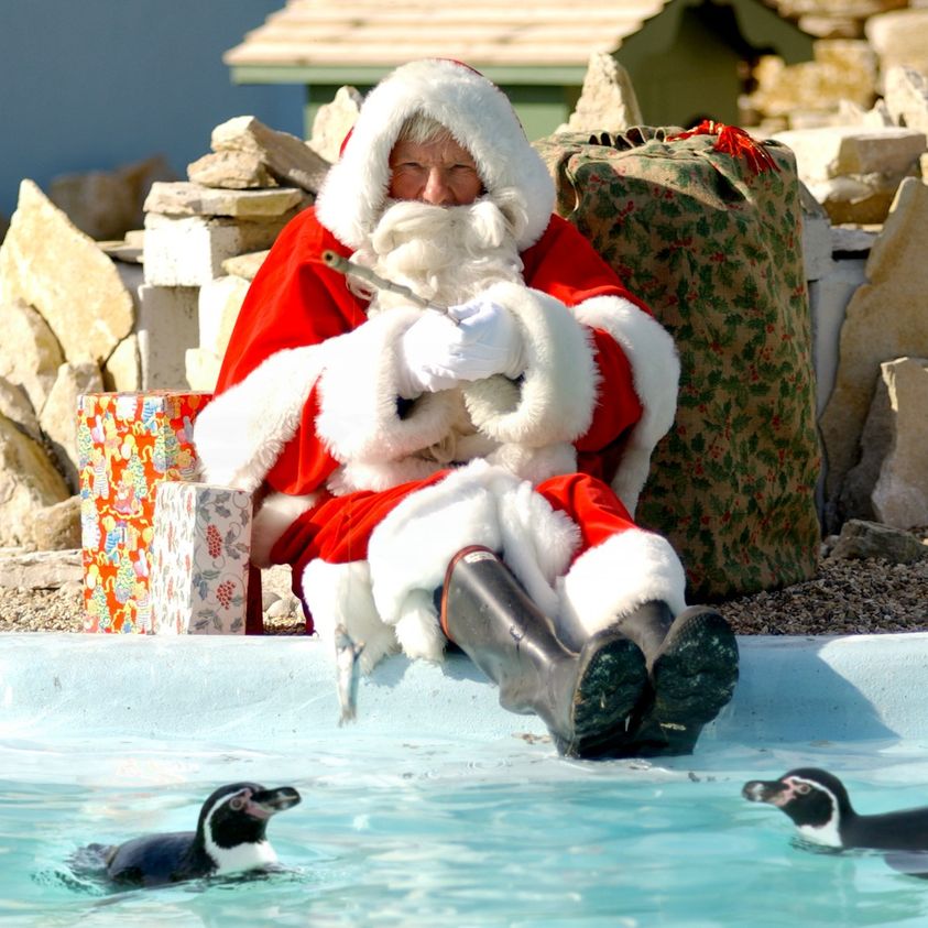 Who spotted Santa at <a href="/PaultonsPark/">Paultons Theme Park</a> this Christmas period? 🎅

They have had so much festive fun going on! Book a 2021 day out with the family and book tickets on their site now!

To book click: paultonspark.co.uk