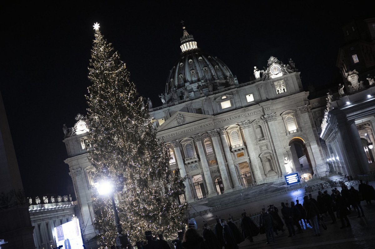 travel_slovenia's tweet photo. This year’s Vatican Christmas Tree is a gift from Slovenia! Read more: https://t.co/R0B5ugHhs8 https://t.co/2lXbhkCFUo
