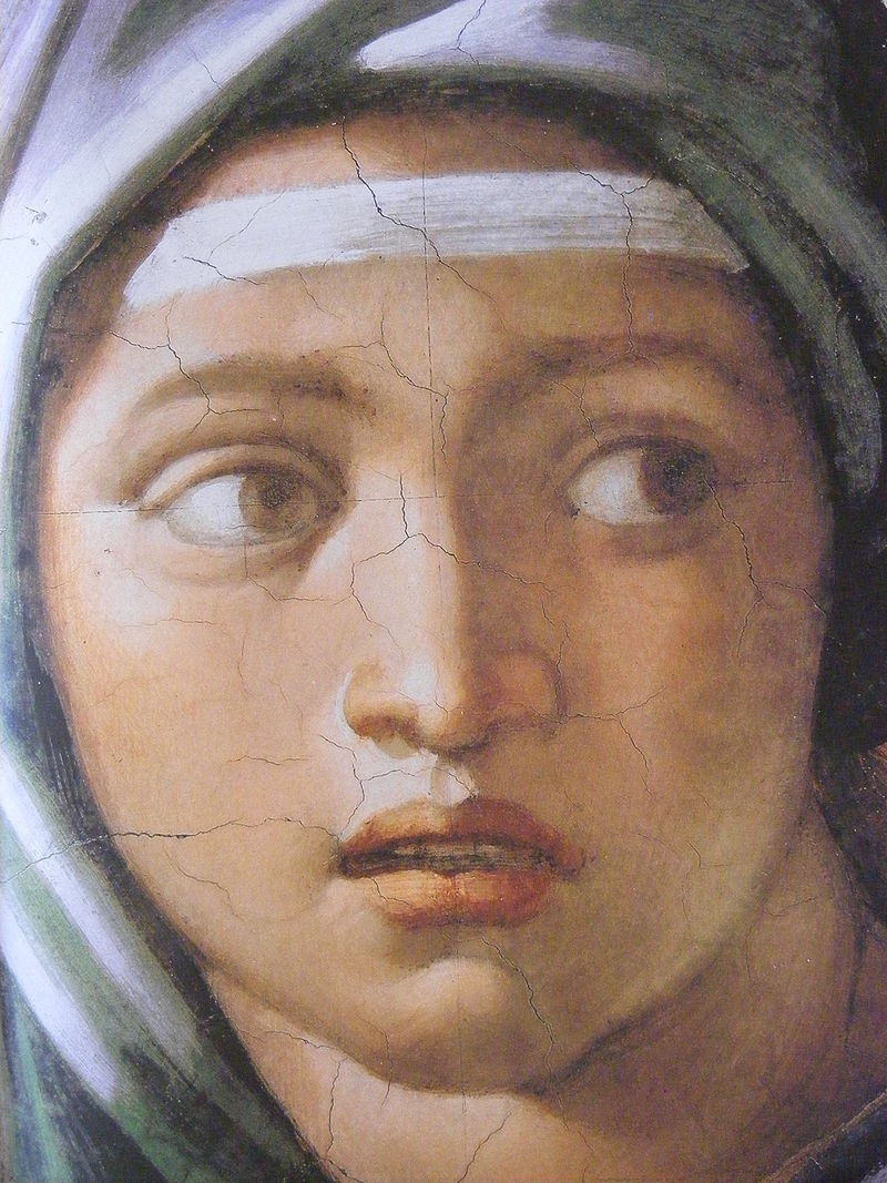 Michel-Ange a d'ailleurs utilisé cette anomalie dans plusieurs des ses œuvres comme : "Sibylle de Delphes" (1508-1510) ou "L'âme damnée" (1475-1564).