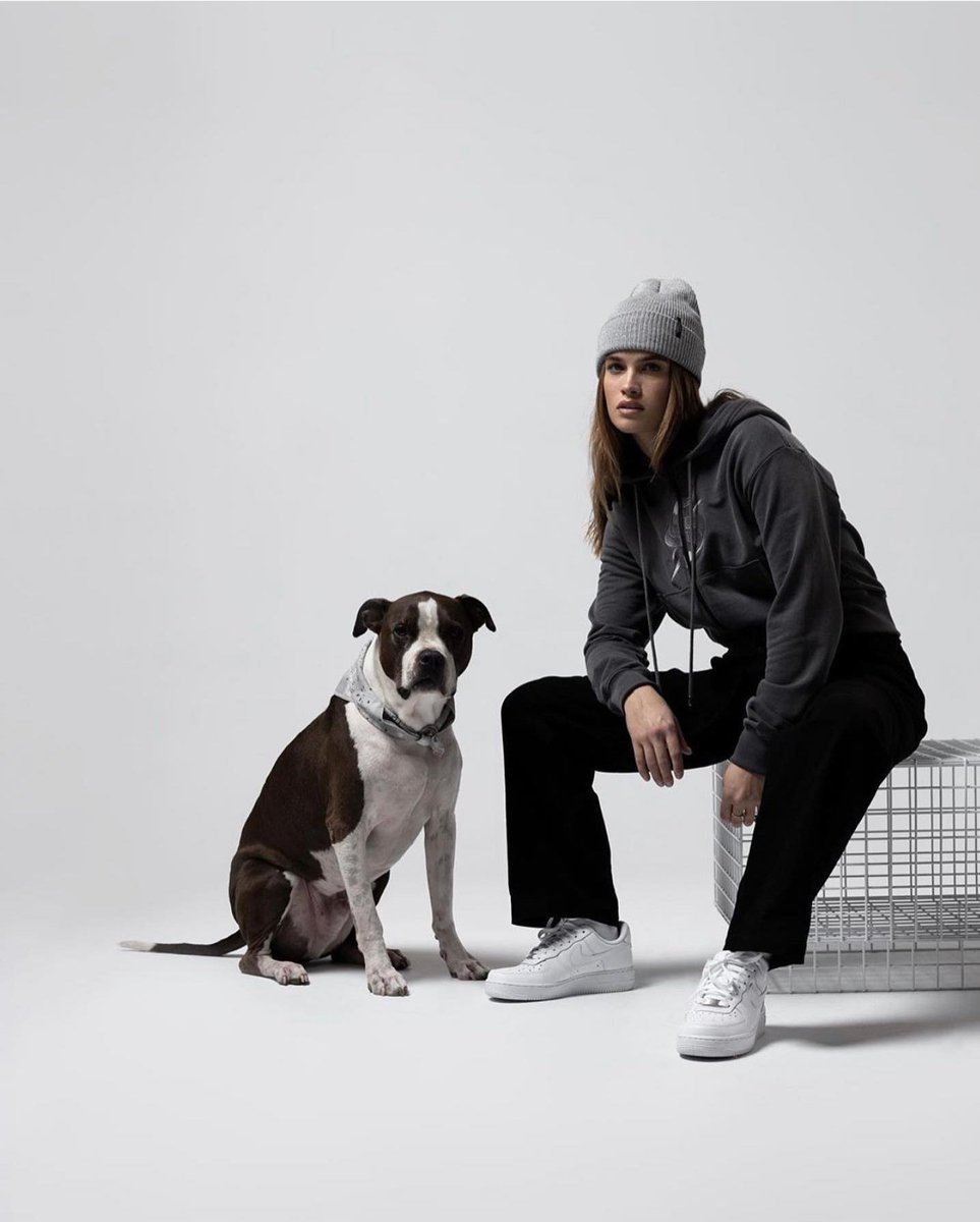 reyflerpaige's tweet image. ㅤㅤ 
ㅤㅤ 
Hello. With Stormi Bree here. I'm in dire for looking some friends to mingle with. Would you like to take this offerings? I'm not gonna bite you! Teehee. Rt for follow, like for sweet messages from me. Thanks a lot, all! #openfollow
ㅤㅤ 
ㅤㅤ