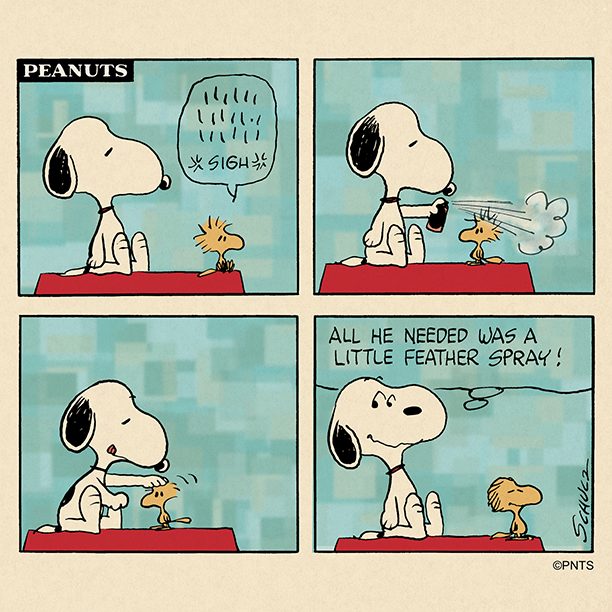 How you turn a bad hair day into a good hair day.