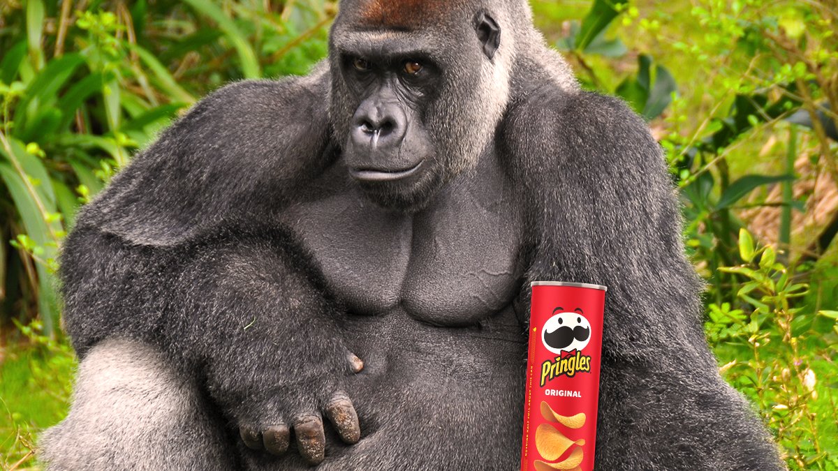 Pringles's tweet photo. You asked us to post a certain image of a certain gorilla to our feed. So here’s what we can legally do. Hope you enjoy. https://t.co/8pAe8K9Rh5