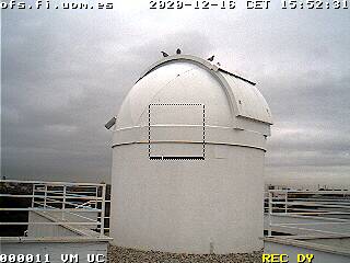 En esta pandemia, una curiosa familia se ha asentado en el observatorio 🤗
