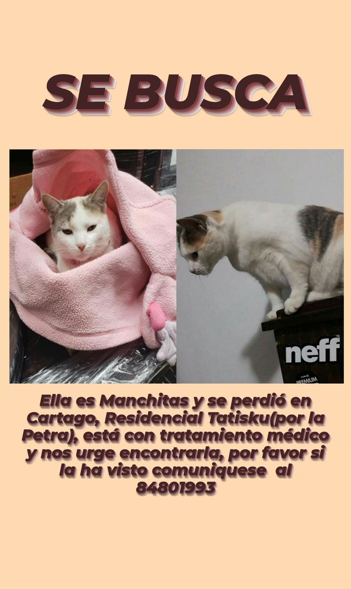 Les agradecería muchísimo que le dieran rt, nos urge encontrarla💔