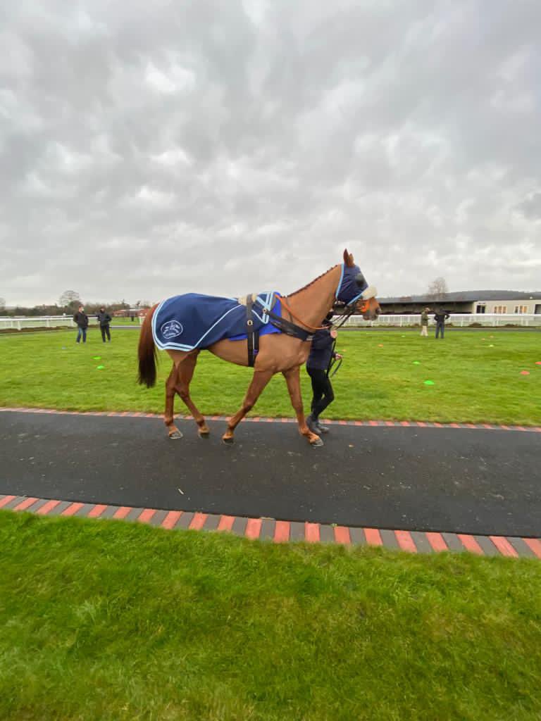 NichollsMat's tweet image. Brilliant performance from Another Venture to win the hcap chase @LudlowRaceClub for @MaggiesCentres on seasonal debut...