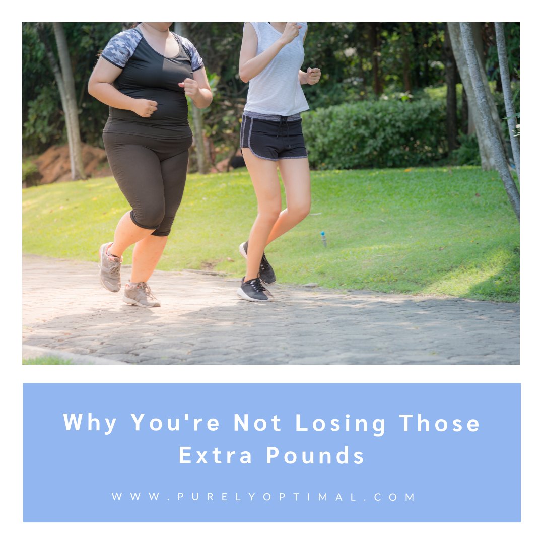PurelyOptimal's tweet photo. Losing weight can be a real challenge especially during the holidays, that’s why it’s important to get to the bottom of it.

Discover how you can naturally lose those extra pounds in this blog: https://t.co/Glv4t9fSSi

#fit #fitlifestyle #weightloss #weightlosshelp https://t.co/4xMEmK4o2u