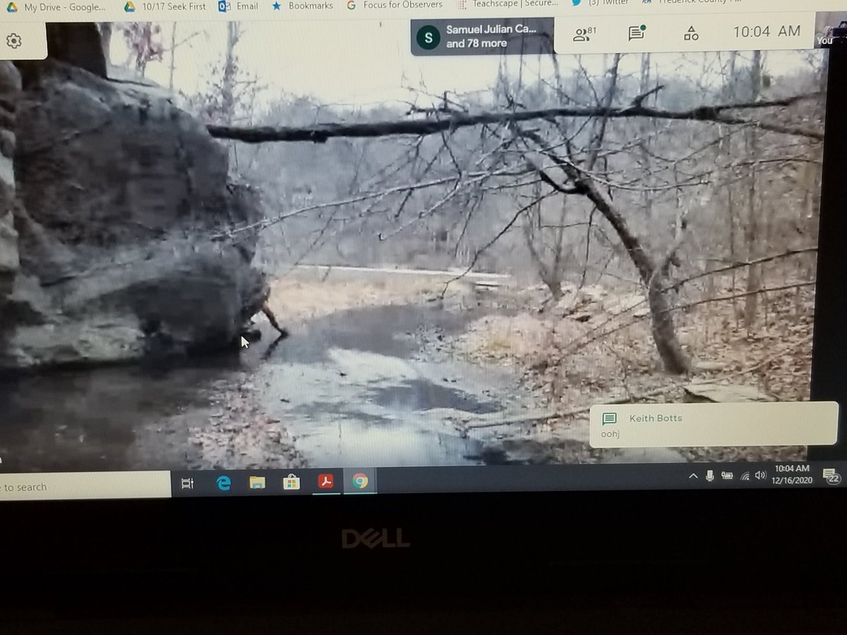 FCPSMDSuper's tweet photo. The chat box reflects the enthusiastic response of students to this virtual Outdoor School experience. As one student said, "Best day ever!" Thanks so much to our Outdoor School staff for continuing to make this environmental experience possible! https://t.co/Tn7z1U7BDq