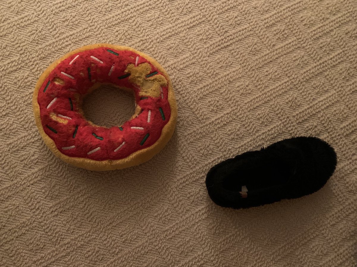 ShadowLakeDog's tweet photo. This is my new favorite game. *snickers* I wake up early + exchange mom’s slipper for my donut. When she wakes up, she has to search for her slipper - which could be anywhere! The first time made her laugh but now we’ve reached the “not again” stage! #coldfloors #dogcelebration https://t.co/NQmtdlLkdw