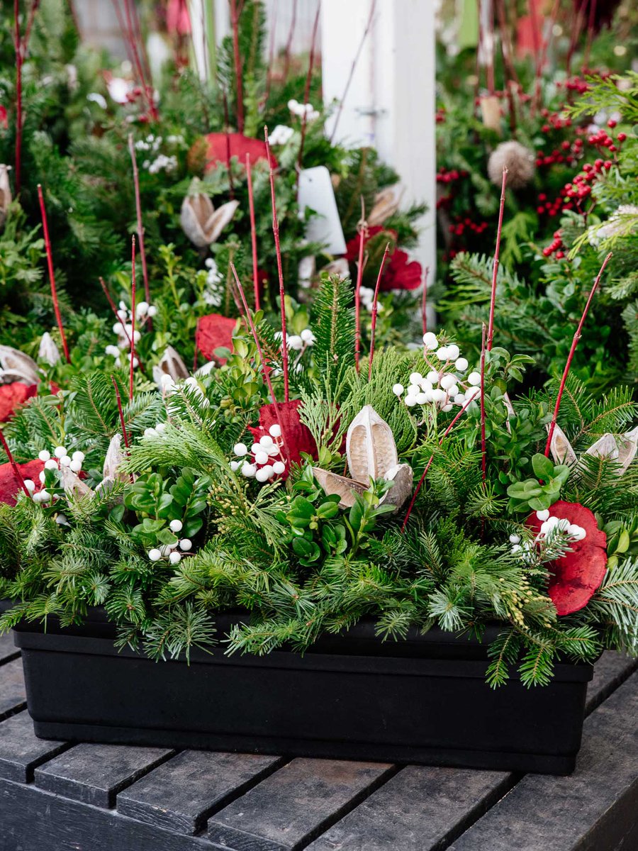 Here are our current favorite winter containers with festive red accents! We can never get enough of evergreens, pine cones, and winter berries