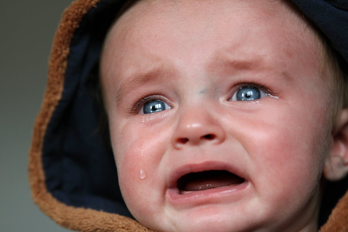 BWPOverlandInn's tweet photo. First two hours of staying with new grandbaby: "Aww it's so cute when he cries!"
👶🏼
7 hours in: "Ok, maybe we need a hotel room."
👶🏼
Have fun there, sleep peacefully here. https://t.co/hT9a0kPabe https://t.co/KA4ERbwUAf