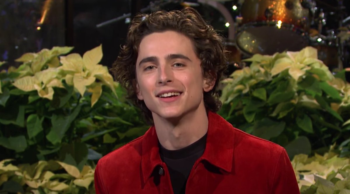 timothée chalamet turning the world into a better place