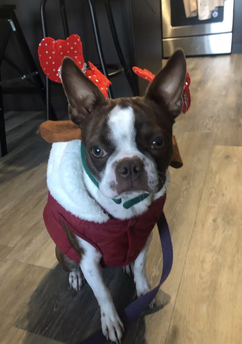 Today is Whimsical Wednesday! Mocha and Mrs. Kupferberg are showing their spirit and waiting for the snow to begin!