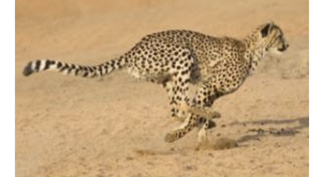 In real estate, sum of the parts deals intrigue me because they're opaque & therefore priced inefficiently. In 2016 I did a deal in San Diego County that I call the “Safari Park House” a ~3800 square foot home overlooking the Safari Park (a sister park to the San Diego zoo).