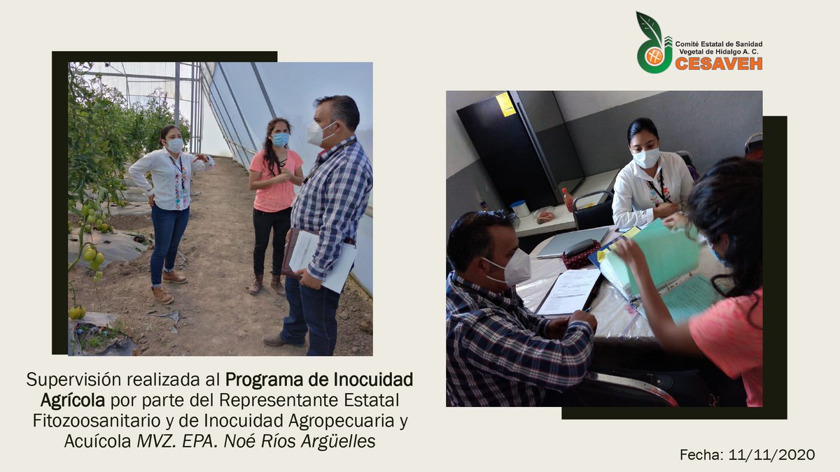 ComiteSanidad's tweet photo. 11/11/2020 En el CESAVEH, que preside el C. Esteban Cruz Chavéz, se sostuvo una supervisión parte del Representante Estatal Fitozoosanitario y de Inocuidad Agropecuaria y Acuícola MVZ. EPA. Noé Ríos Argüelles #SENASICA Hidalgo, al Programa de Inocuidad Agrícola; en Metepec. https://t.co/xCzHd4KeNm