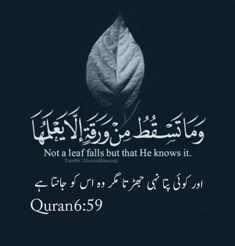 Rashidyousaf131's tweet photo. https://t.co/O1Yy3td2Wx