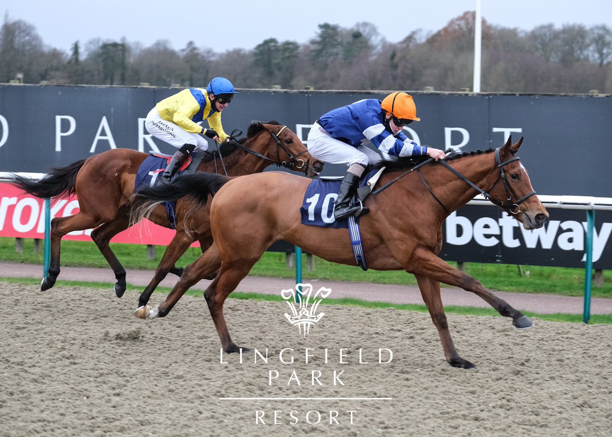 SEALED OFFER - WINNER!! Congratulations to our team at Machell Place Stables, @GeorgeRooke6 and winning owner Paul Silver, Gary Steed and Freddie Eccles-Williams. A huge thank you to all people who have been supporting and helping us so far.