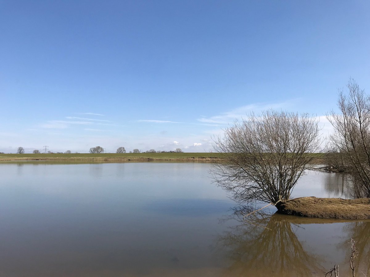 CUMELANederland's tweet photo. Wil jij Helpen de uiterwaarden te onderhouden? Voor het onderhoud van 64.000 ha uiterwaarden zoekt Rijkswaterstaat landelijke en lokale partijen die samen willen werken! Met Project Match hoopt ze dat vernieuwende samenwerkingsverbanden ontstaan.

https://t.co/sWZ3WIaKXe https://t.co/tRRaqTZ23K