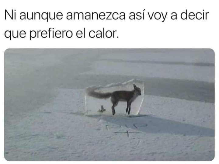 AdiRoojas's tweet photo. Jajajaja ni así #Miercoles https://t.co/FnS0T3C9Cm