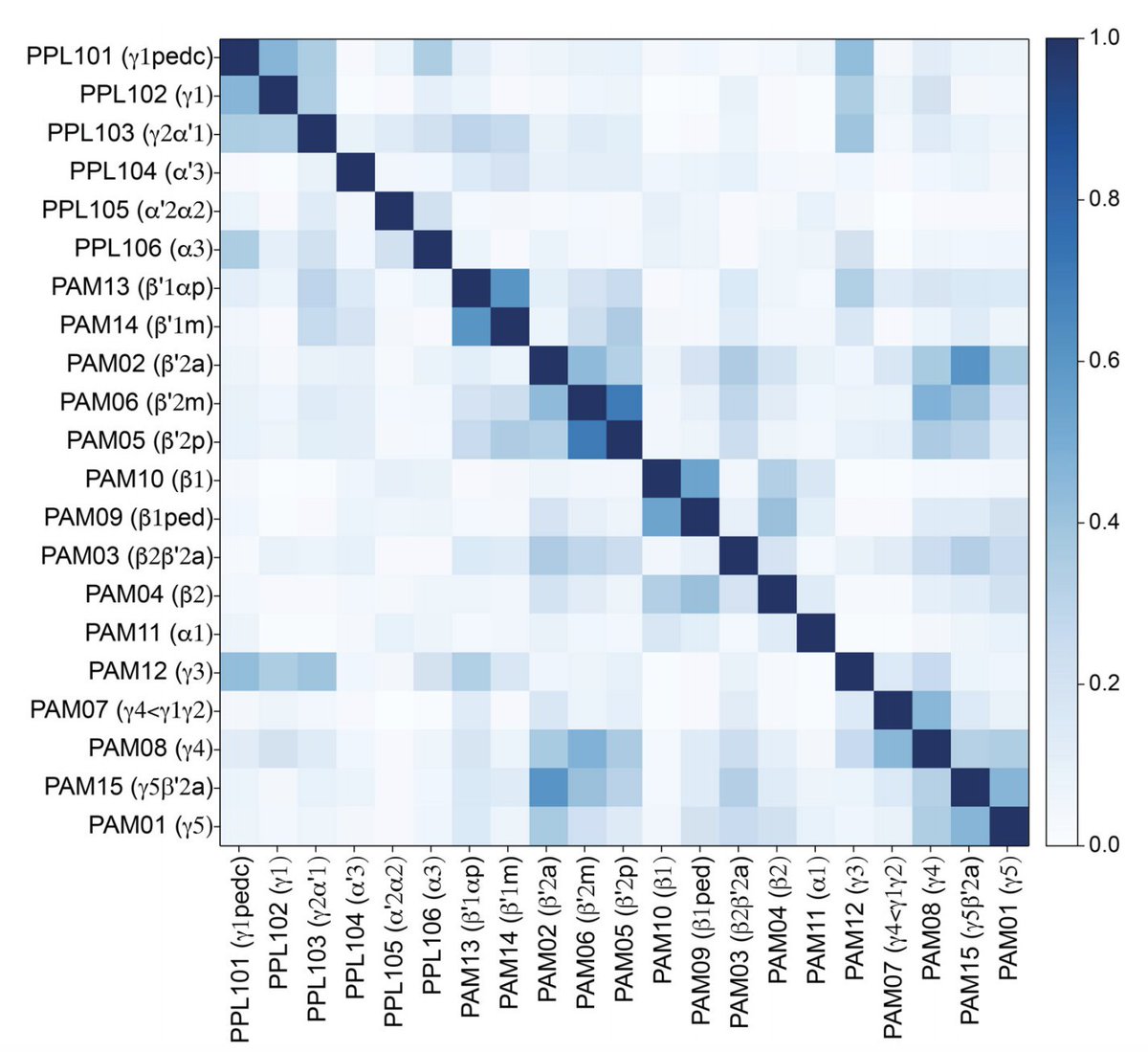 Also, connectivity-based clusters include DANs from different compartments, suggesting that such signals may be distributed across the population. These findings motivate extensions to classical RL models that incorporate distributed, vector-valued learning signals (12/22)