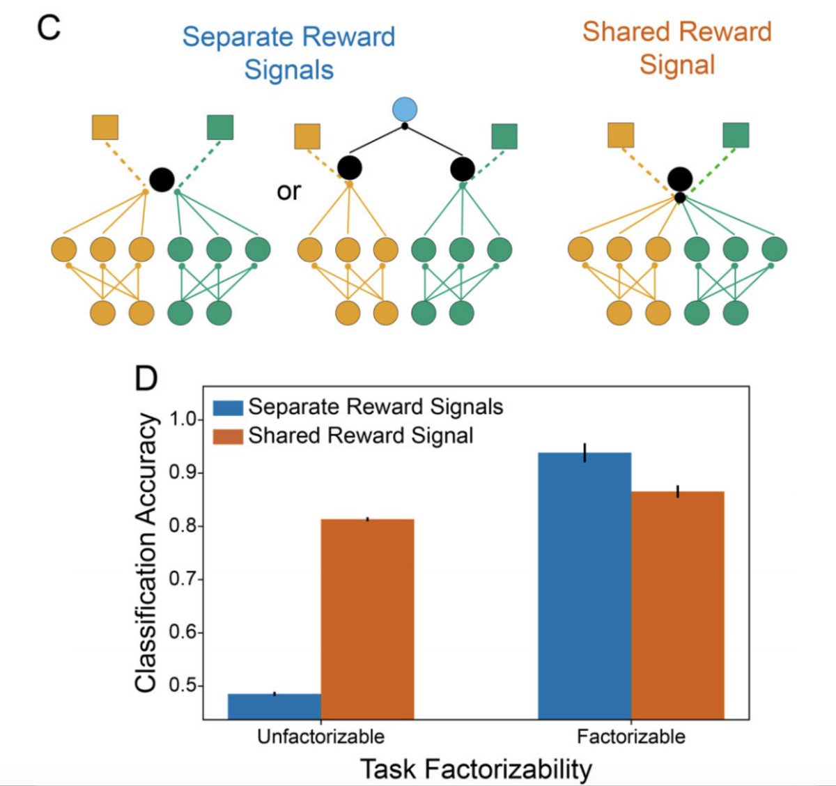 Mathy interpretation: this organization allows high-rank updates to the KC-MBON weight matrix, rather than the rank-1 updates given by Hebbian-style (or ML-style) learning rules. Modeling suggests that this flexibility can be beneficial given a factorizable task structure (10/22)