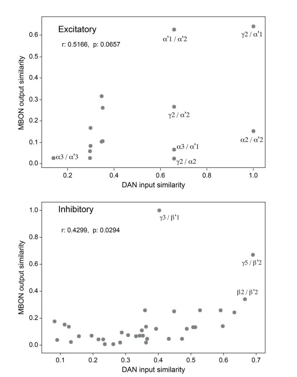 To some extent, similarity of inputs to DANs correlates with similarity of outputs from their corresponding MBONs, perhaps reflecting a form of credit assignment in which compartments receive different learning signals dependent on their functional/behavioral roles (13/22)
