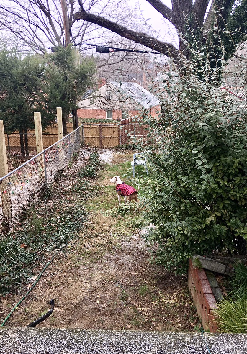 Donaleendc's tweet photo. @wusa9  
#snowday9
#Orion’nShepherdPark https://t.co/7tNKQ8ptIT