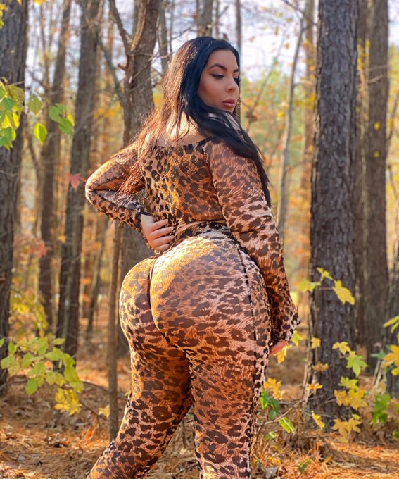 🐆🐆 https://t.co/lqBgAdIuLy