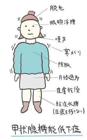 バセドウのtwitterイラスト検索結果