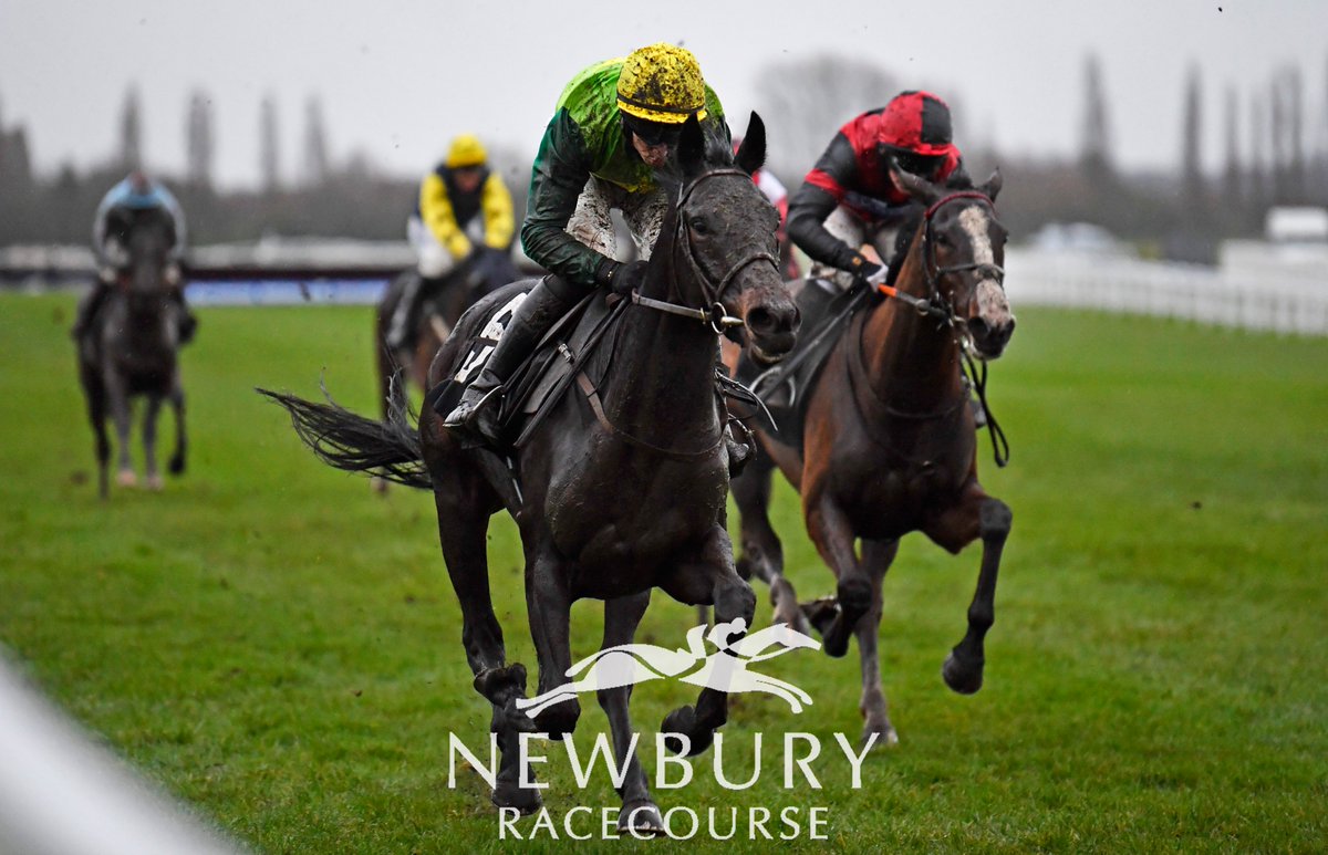NormanStud photo